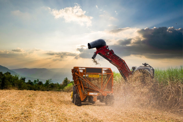 Máquinas trabalhando em uma plantação, uma alusão à agropecuária intensiva, um dos tipos de agropecuária no Brasil.